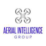 Aerial Intelligence Group Logo